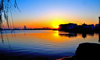 溫暖懷疑的作文開(kāi)頭