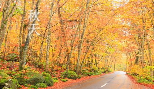 400字美麗的秋天作文開頭