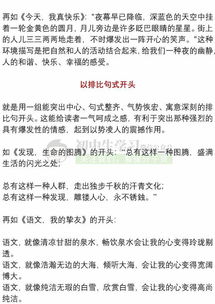 我得到了什么作文的開頭