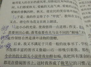 花生酥三問作文開頭