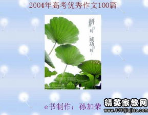 自我介紹開(kāi)頭語(yǔ)100字作文怎么寫(xiě)