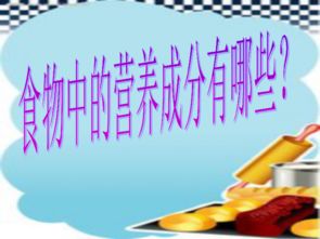 小學(xué)關(guān)于營(yíng)養(yǎng)的課件(關(guān)于小學(xué)課件)