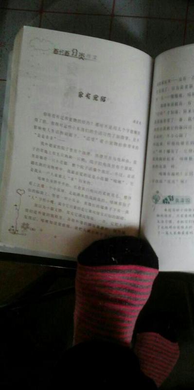 我和動(dòng)物的故事作文精美開頭