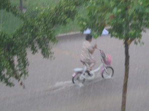 六級感恩父母的作文600字作文開頭