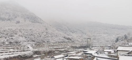 一景一物總關(guān)情的作文開頭