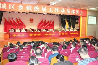 黨代表審查報告(經(jīng)費審查整改報告)