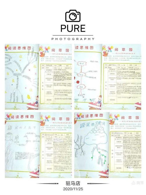 文明活動(dòng)作文600字作文開頭怎么寫