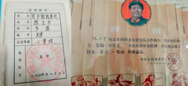 機要工作總結(jié)(機要的近義詞)