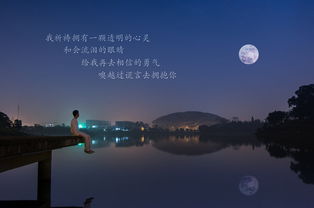 夜空中最亮的星開頭作文