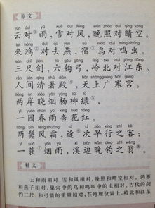 我經(jīng)歷的第一次選擇作文600字作文開頭