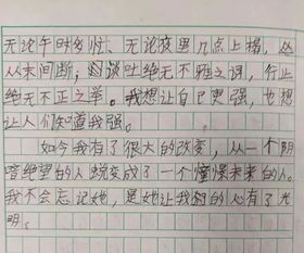 以追為題作文的開頭