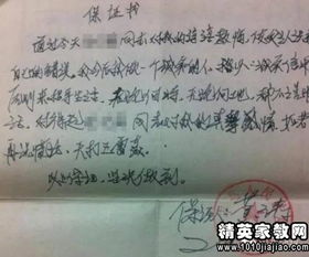 法院黨員的承諾書范文(法院黨員的承諾書范文)