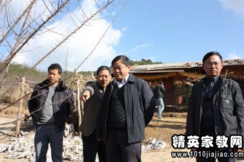 鄉(xiāng)鎮(zhèn)林業(yè)調(diào)研報(bào)告模板(鄉(xiāng)鎮(zhèn)林業(yè)調(diào)研報(bào)告)