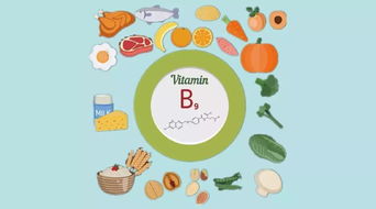 關(guān)于葉酸的小常識(備孕懷孕補充葉酸常識)