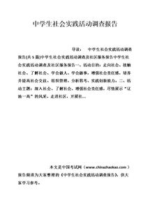 實踐活動報告(實踐活動報告)