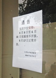 高中作文愛國(guó)類開頭結(jié)尾