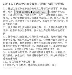 村委主任年終述職報告(村委主任年終總結(jié))