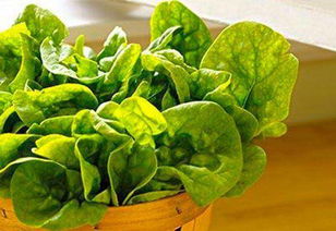 綠色食品市場調(diào)查報告(綠色食品)