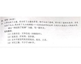 記一次考試作文開頭怎么寫