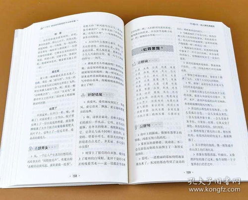 六級(jí)作文開(kāi)頭和結(jié)尾的好句