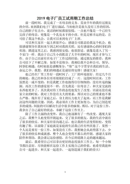 電子廠員工個人總結(jié)范文(電子廠員工個人年終工作總結(jié))