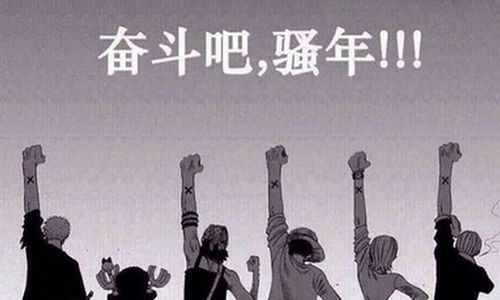 奮斗美麗作文開(kāi)頭