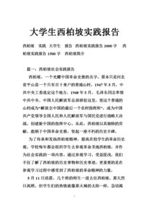 大學生實踐報告總結(jié)范文(大學生實踐報告總結(jié)范文)