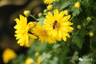 語(yǔ)文從身邊輕輕走過(guò)作文開(kāi)頭