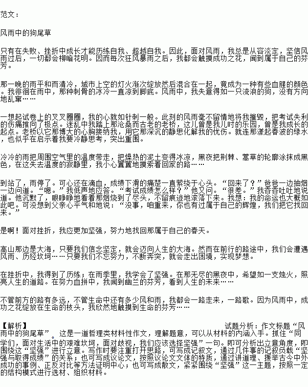 風(fēng)雨中的玫瑰作文開頭