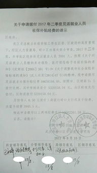 資金申請報告范文(學校的資金申請報告范文)