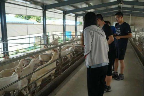 農(nóng)村土地助推鄉(xiāng)村振興調(diào)研報(bào)告(苦難是成功的助推器作文)