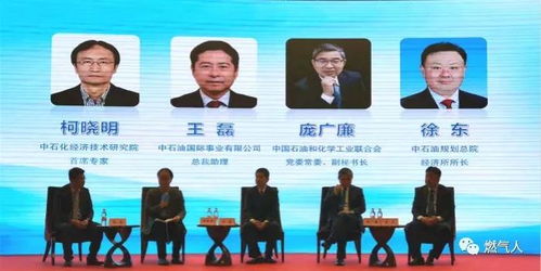 石油技術(shù)員研究的報告(石油技術(shù)員述職報告)