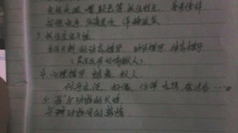 寫小貓的最好的作文600字作文開頭