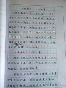 一張照片的故事的作文開頭