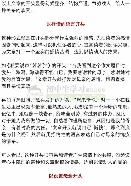 玩的真高興作文開頭