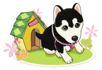 作文小狗伴我成長(zhǎng)800字作文開(kāi)頭