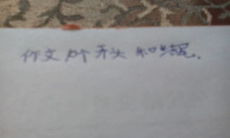 開(kāi)頭結(jié)尾十段的作文