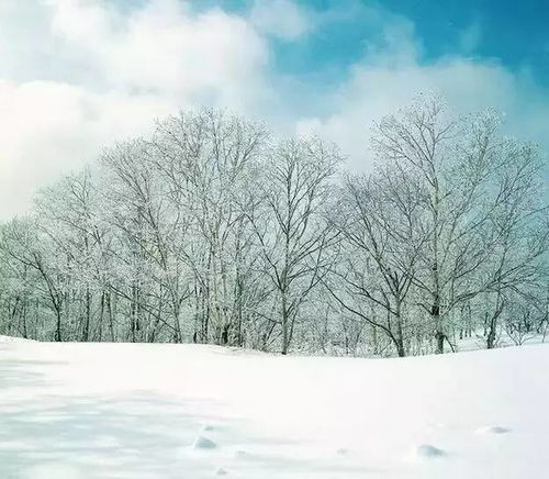 雪景色作文開頭結(jié)尾