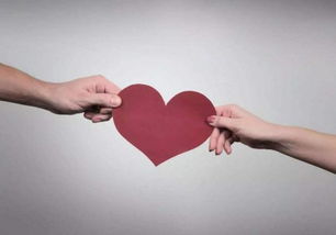 關(guān)于獻(xiàn)愛(ài)心的作文獻(xiàn)愛(ài)心(關(guān)于獻(xiàn)愛(ài)心的作文獻(xiàn)愛(ài)心)