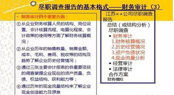 企業(yè)財(cái)務(wù)盡職調(diào)查報(bào)告標(biāo)準(zhǔn)范文(企業(yè)財(cái)務(wù)盡職調(diào)查報(bào)告)