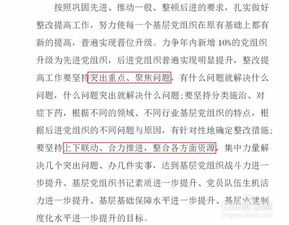 黨組織整改晉位升級工作報告(支部晉位升級整改方案)