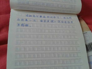 我的奇妙想象作文400字開頭