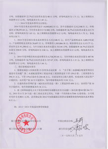 關(guān)于科技公司的專項審計報告()