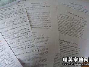 新疆總目標的心得體會(聚焦總目標的心得體會)