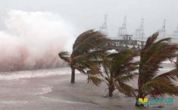 臺風作文三百字(有關(guān)臺風的作文三百字)