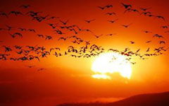 發(fā)現(xiàn)身邊最美的自己作文600字作文開頭