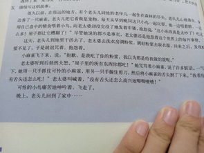 我們作文800字開頭怎么寫