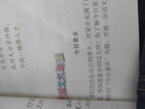 家鄉(xiāng)的味道600作文開頭