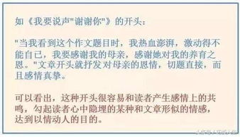 語文高分作文開頭,英語高分作文開頭,高分作文經(jīng)典開頭50條
