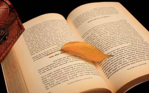 疫情的畢業(yè)作文開頭結(jié)尾